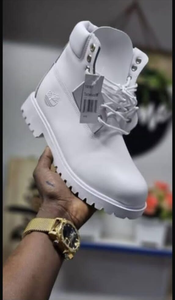 WhatsApp Image 2025-11-19 at 3.45.01 PM