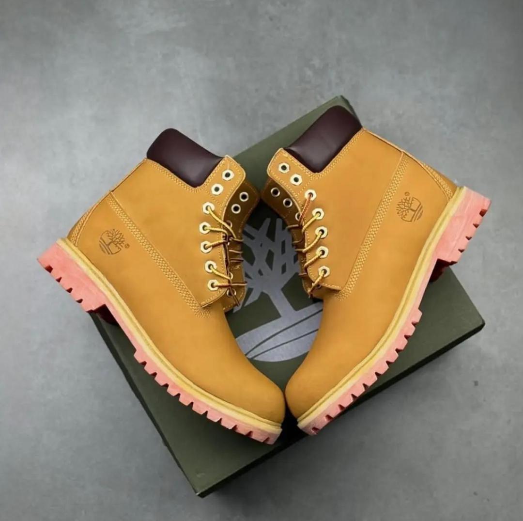 WhatsApp Image 2026-03-23 at 11.32.08 AM(1)